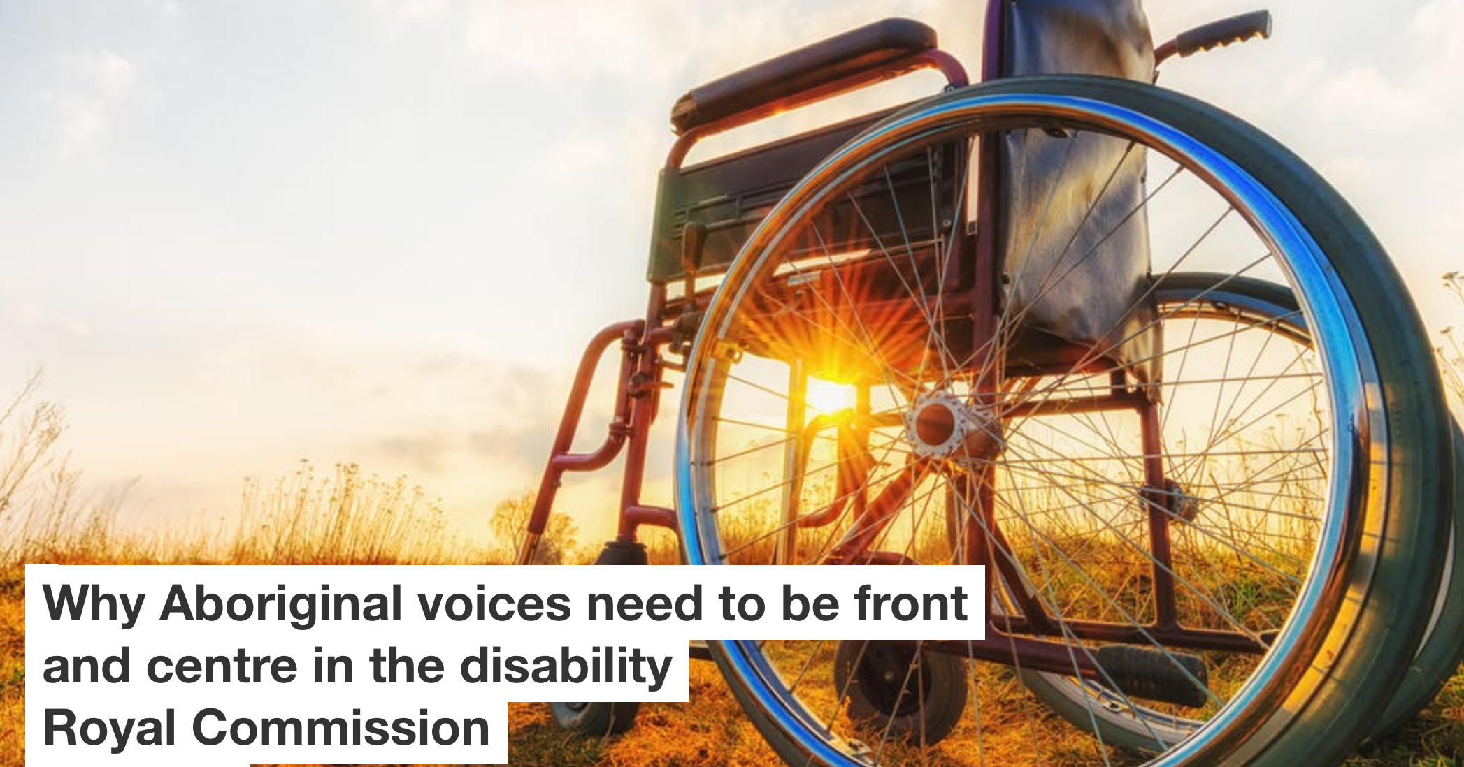 Sunshine beaming through spokes of wheelchair on horizon